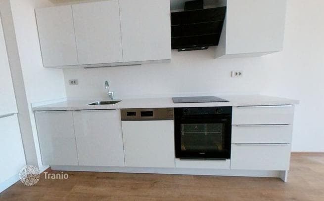 1-Bedroom Apartment in Kartal, Istanbul, photo 3