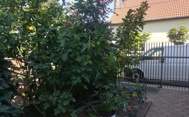 5-комнатный дом в городе 110 м² в Будапеште, Венгрия, фото 3