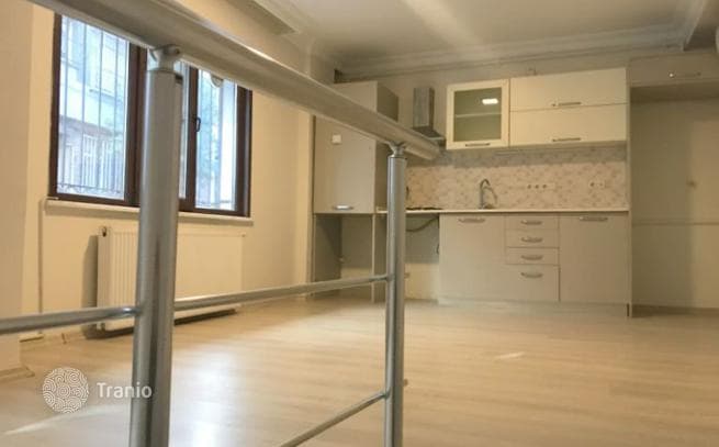 1-Bedroom Apartment in Beyoglu, Istanbul, photo 4