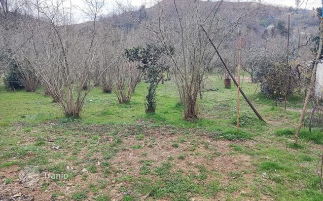 House with Mountain View and Fruit Orchard in Chakvi, Batumi, photo 3