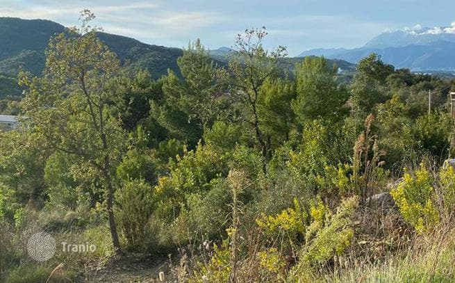 1,463 m² Land Plot in Budva, Montenegro, photo 4