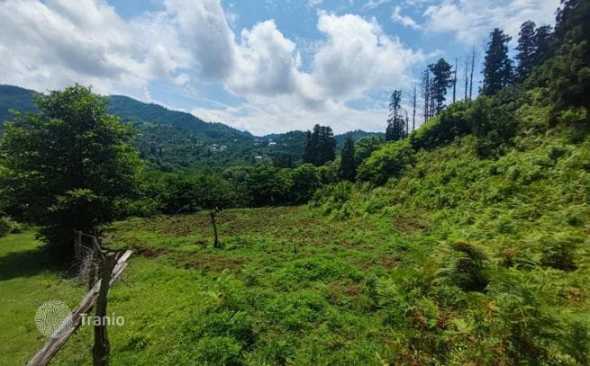 Affordable Land Plot with Mountain Views in Sahkalvasho, Batumi, photo 5