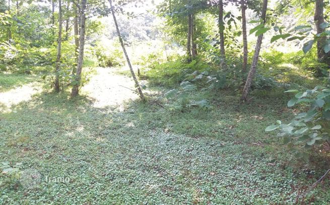 Land Plot for House Development in Chakvi, Georgia, photo 2