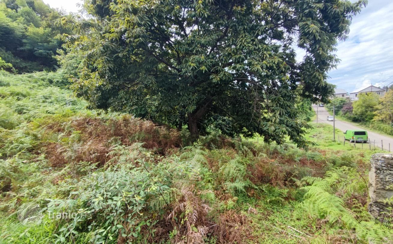 Non-Agricultural Land Plot with Sea View in Tsikisdziri, Batumi, photo 3