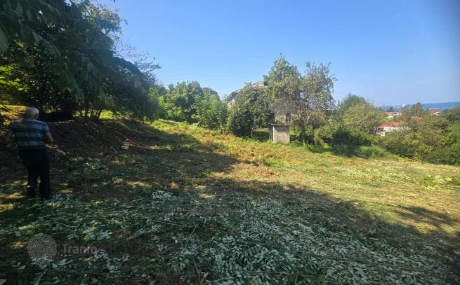 Non-Agricultural Land Plot Near the Sea in Makhinjauri, Batumi, photo 4