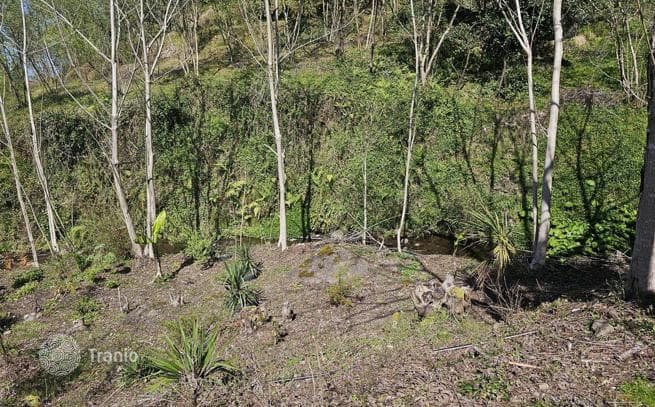 House with Large Land Plot in Makhinjauri, Batumi, photo 4