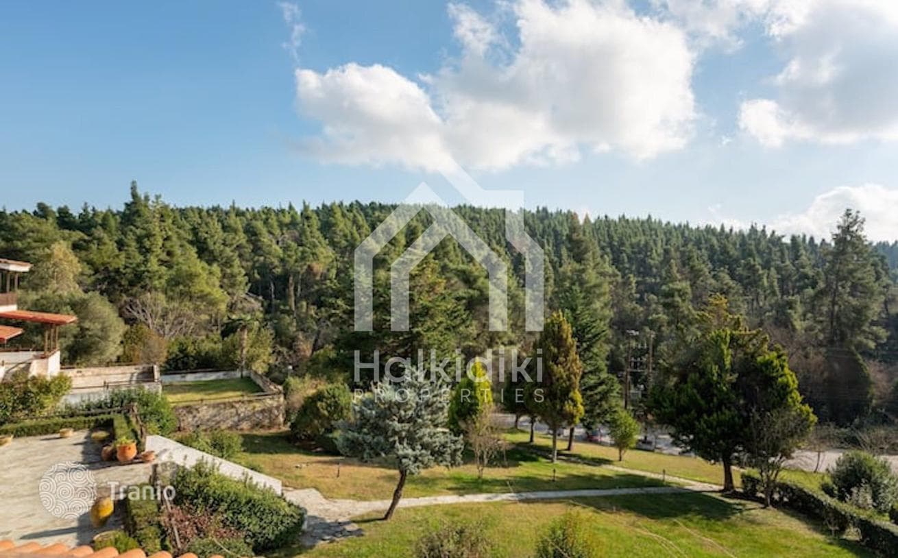 4-комнатный дом в городе 461 м² в Халкидики, Греция, фото 2