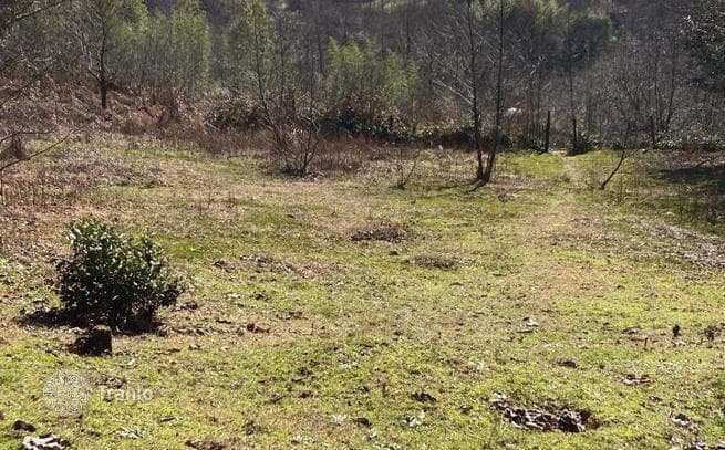 Non-Agricultural Land Plot with Mountain Views in Chakvi, Batumi, photo 4