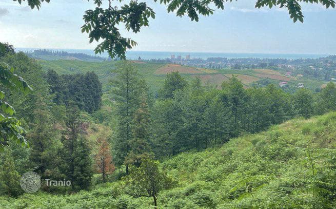 Non-Agricultural Land Plot 15 km from Batumi, Georgia, photo 5