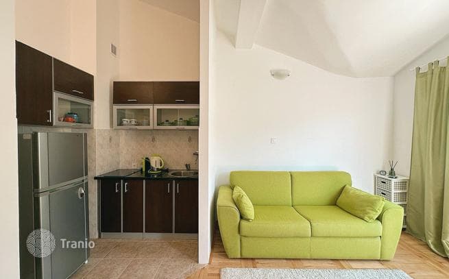 1-Bedroom Apartment with Terrace and Sea View in Rozino, Budva, photo 2