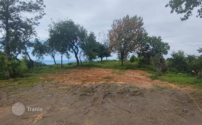 Land Plot with Sea and Mountain Views in Tsikhisdziri, Batumi, photo 2