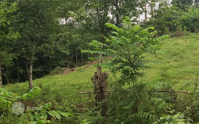 Land Plot 300 m from the Sea in Chakvi, Adjara, photo 2