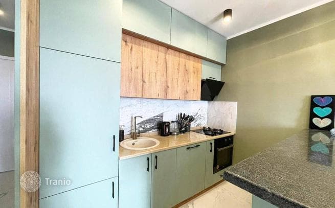 Spacious Apartment with Sea, Mountain and City Views in Tbilisi, photo 3