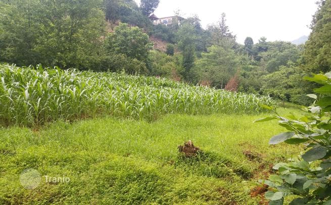 Land Plot in the Mountains on a River, 4 km from the Sea in Batumi, photo 2