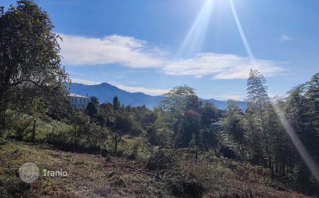 Land Plot with City, Sea and Mountain Views in Batumi, photo 3