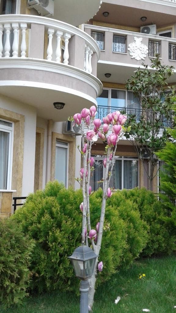 Квартира в Равде, Болгария, 38 м²