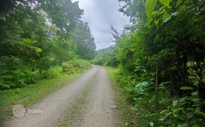 Land Plot in Mtirala National Park near Batumi, Georgia, photo 3