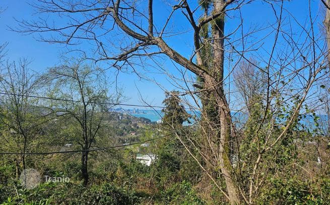 House with Sea Views and Large Land Plot in Makhinjauri, Batumi, photo 4