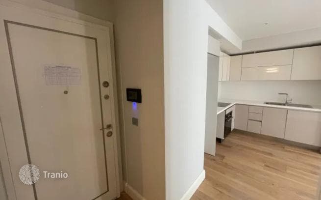 1-Bedroom Apartment in Beyoglu, Istanbul, photo 4