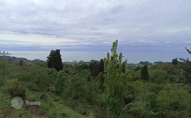 Land Plot with Sea View in Makhinjauri, Batumi, photo 2