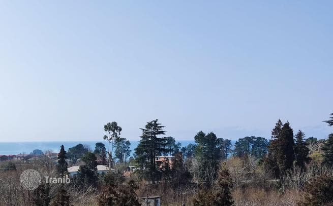 Land Plot 500 m from the Sea in Chakvi, Batumi