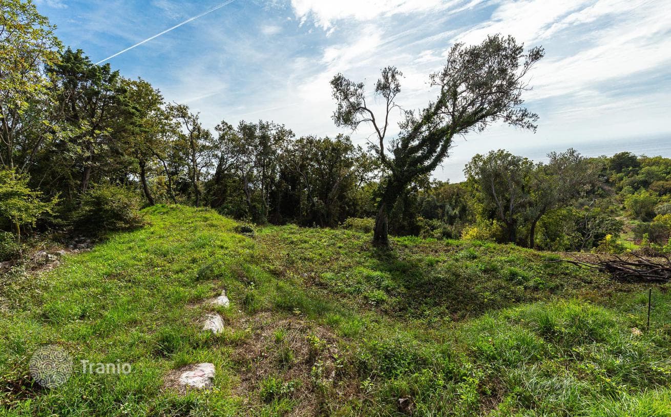 975 m² Land Plot 250 m from the Beach in Reževići