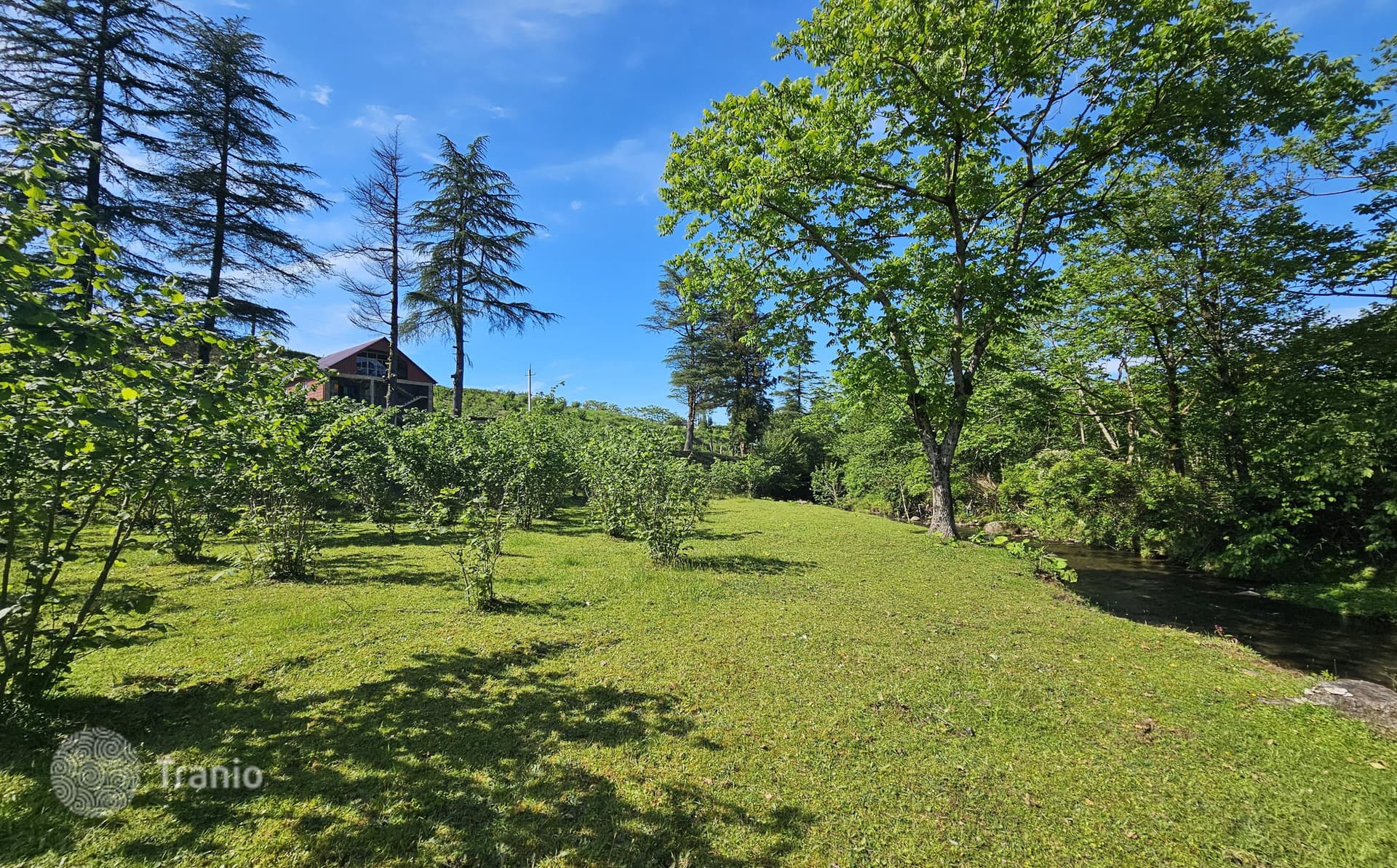 Non-Agricultural Land Plot on River with Mountain Views in Chakvi, Batumi, photo 5
