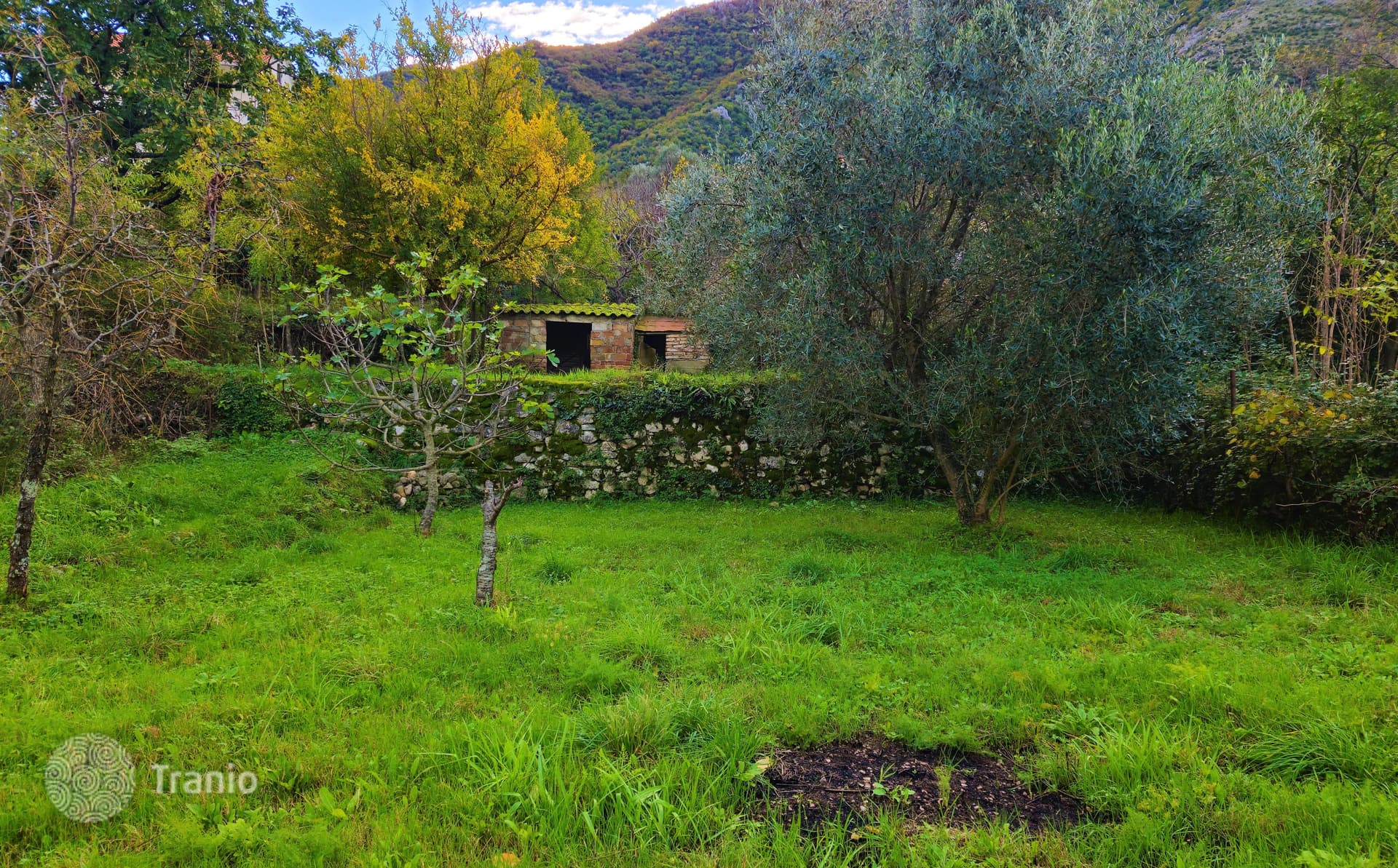 6-Bedroom Stone House for Renovation in Prčane, Kotor, photo 4