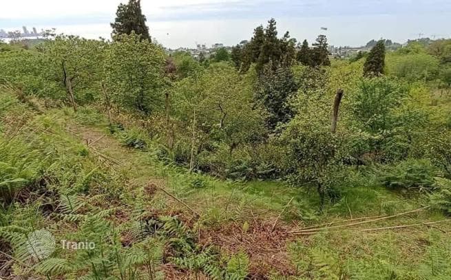 Land Plot with Sea View in Makhinjauri, Batumi, photo 5