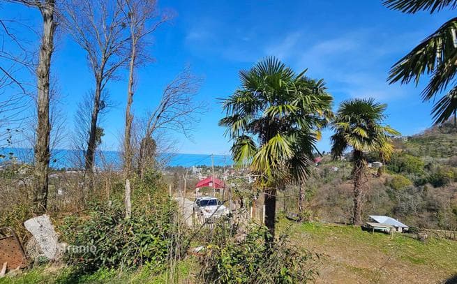 House with Sea Views and Large Land Plot in Makhinjauri, Batumi, photo 2