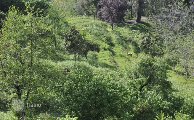Land Plot in Tskhidsziri, Adjara, photo 2
