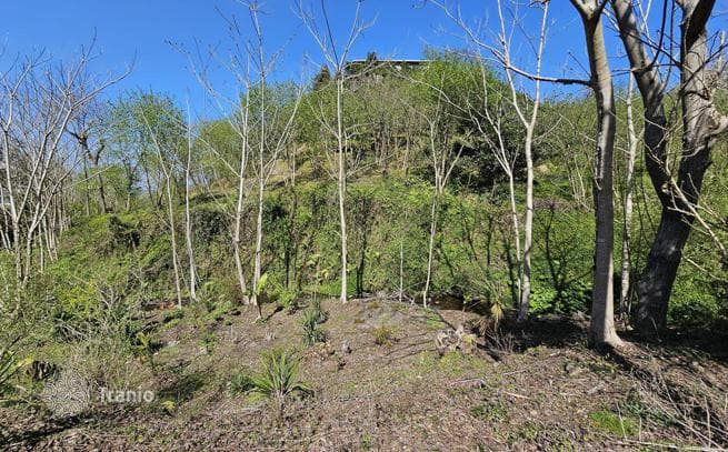 House with Large Land Plot in Makhinjauri, Batumi, photo 3