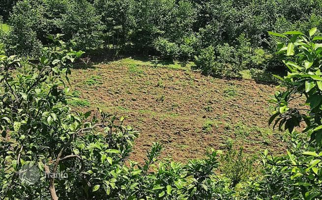 Affordable Land Plot with Mountain Views in Sahkalvasho, Batumi, photo 2