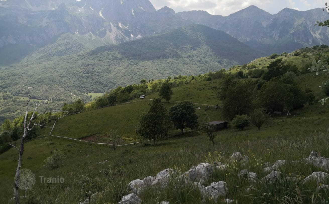 Large Land Plot in Lipovo, Kolasin, Montenegro, photo 4