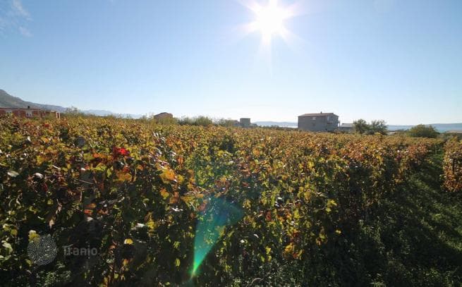 Land Plot with Vineyard and Sea View in Kastela, Split
