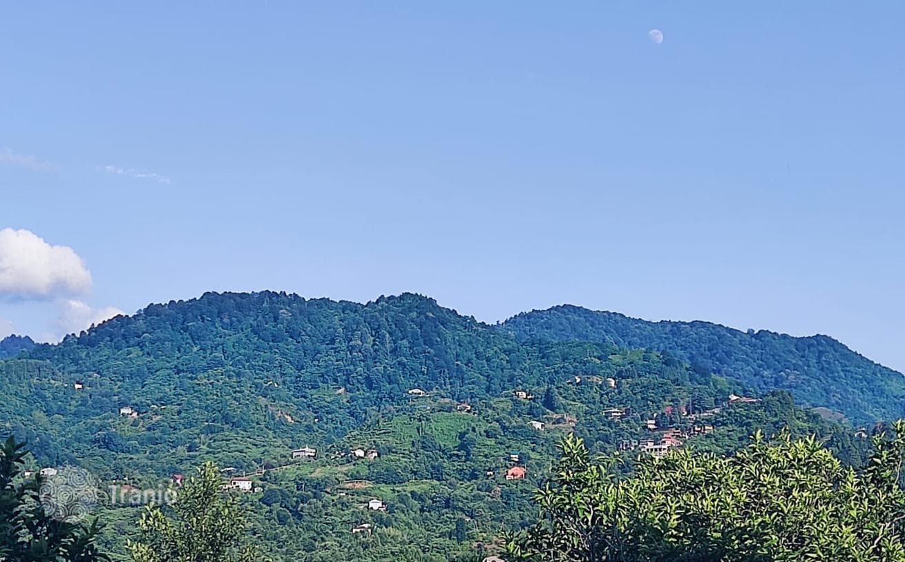 House with Fruit Garden 16 km from Batumi City Center, photo 5