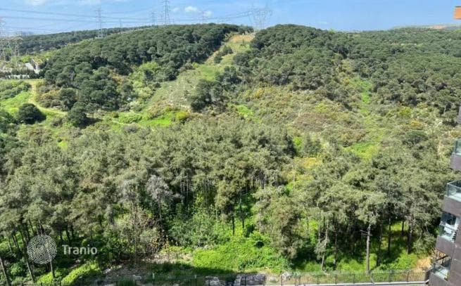1-Bedroom Apartment in Kayithane, Istanbul, photo 5