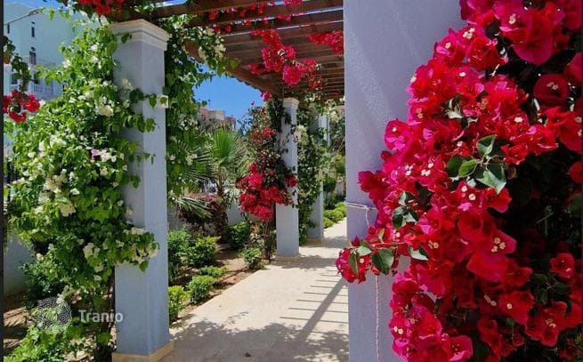 Luxury Apartments in Classical Colonial Style in Limassol, photo 4
