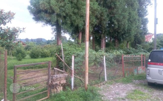 1,227 m² Land Plot Near Batumi Botanical Garden, photo 4