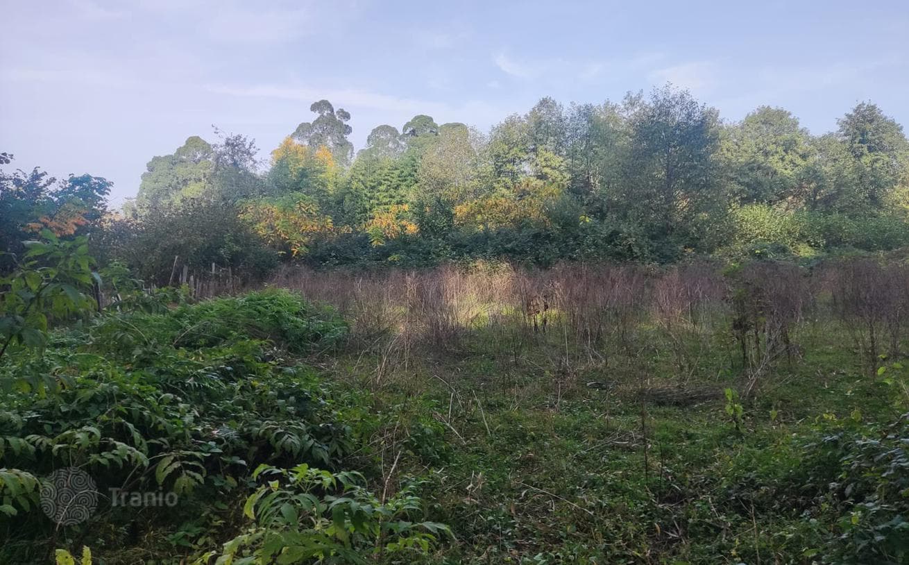 Land for House or Villa Development Near Batumi, Chakvi, photo 2
