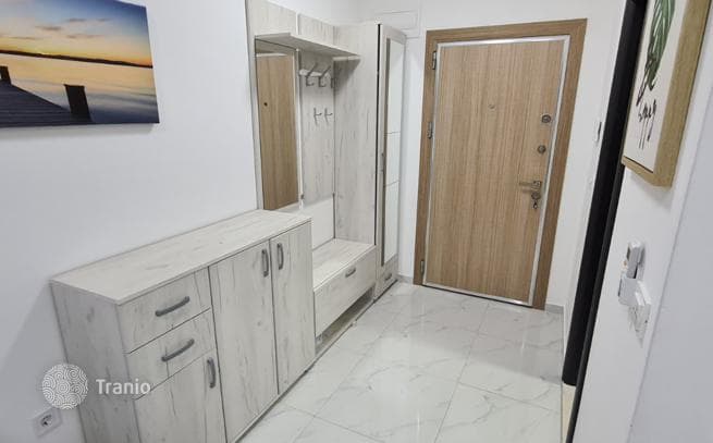 Studio with Terrace 250 m from the Sea in Djenovic, Herceg Novi, photo 3