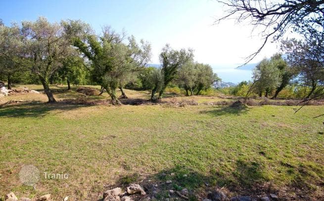 Land Plot in Herceg Novi, Montenegro, photo 3