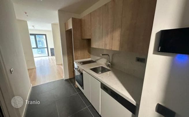 Studio Apartment in Sariyer, Istanbul, photo 5