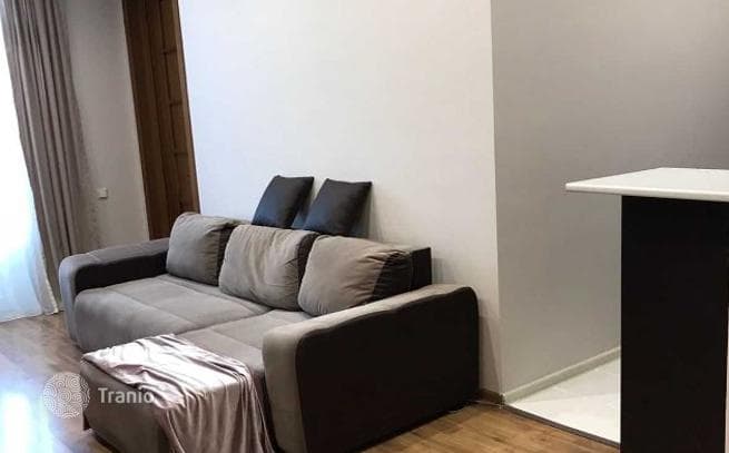 1-Bedroom Apartment in Saburtalo, Tbilisi, photo 3