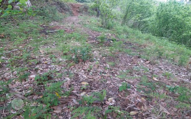 Land Plot with Sea View near Batumi, Georgia