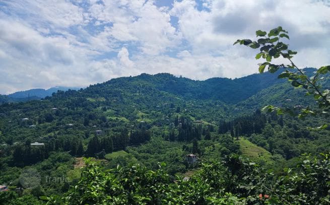 Affordable Land Plot with Mountain Views in Sahkalvasho, Batumi