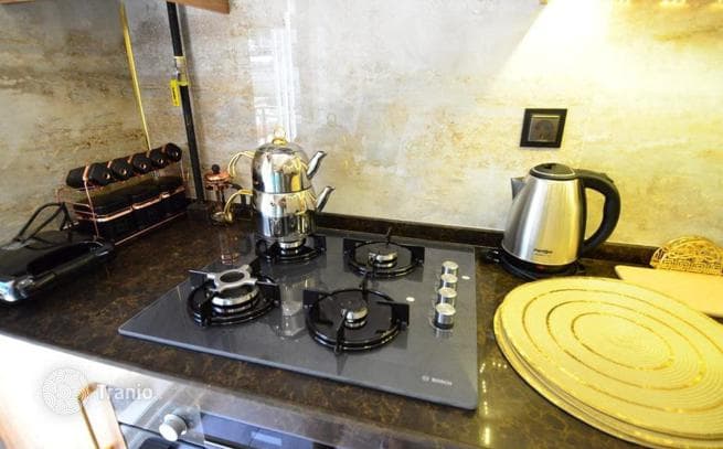 1-Bedroom (1+1) Furnished Apartment in Altinkum, Antalya, photo 2