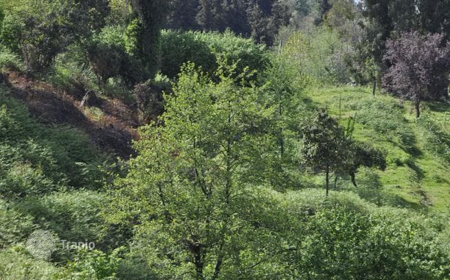 Land Plot in Tskhidsziri, Adjara, photo 3