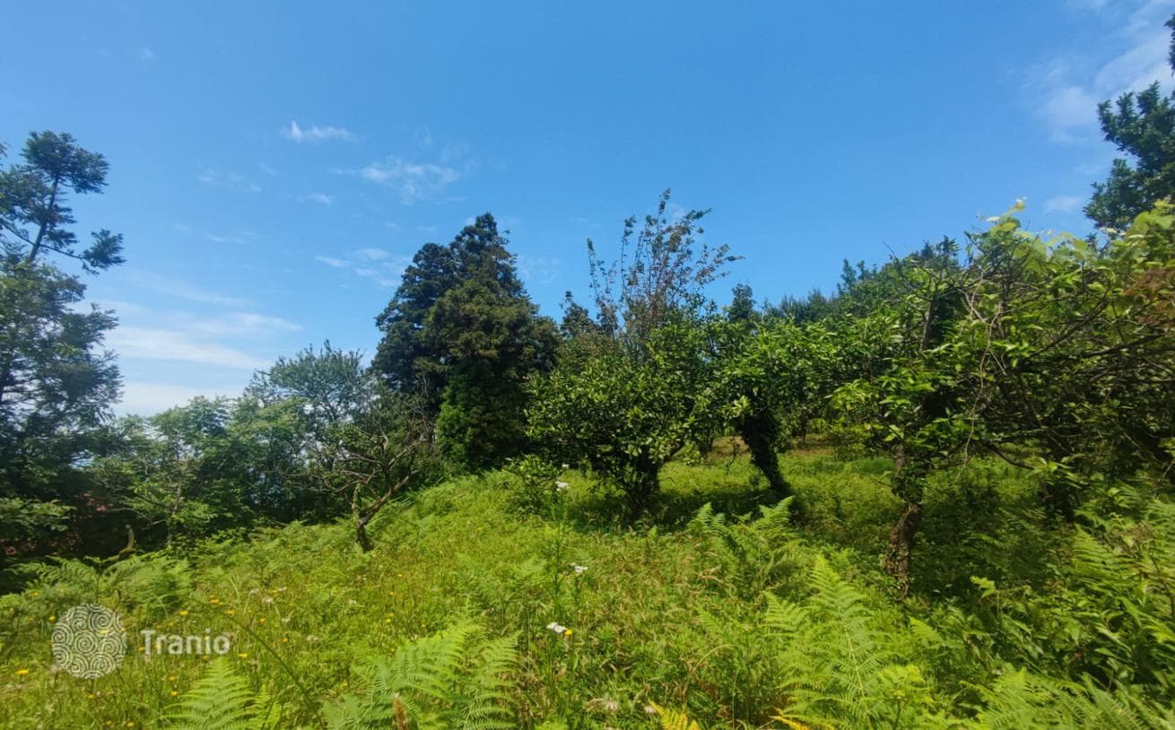 Land Plot for Villa and Townhouse Development in Makhinjauri, Batumi, photo 2