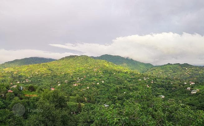 3-Bedroom House with Garden and Mountain and Sea Views near Batumi, photo 3